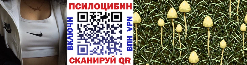 мега зеркало  Гдов  Галлюциногенные грибы GOLDEN TEACHER 